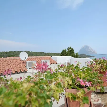 House In - Tavolara View 度假居 Costa Dorata